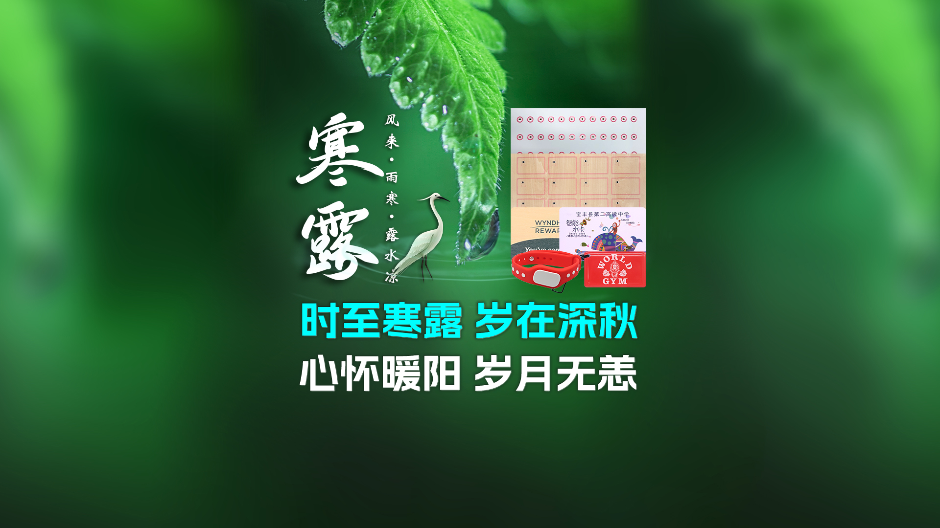 寒露至秋意濃，卡立方集團(tuán)攜RFID智能卡中料木卡腕帶伴您暖度深秋